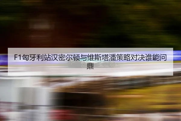 xiong-ya-li-zhan-han-mi-er-dun-yu-wei-si-ta-pan-ce-lve-dui-jue-shui-neng-wen-ding-3-192.jpg